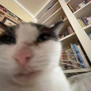 Meet your Posher, Libby